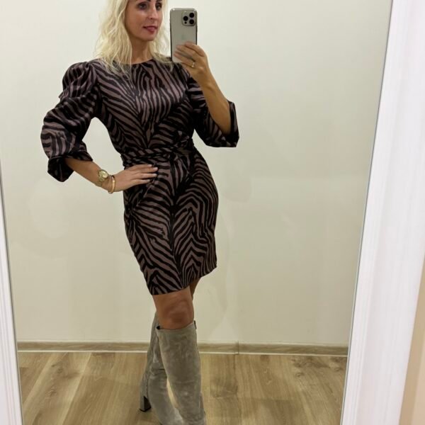Klasikinė Suknelė Su Diržu